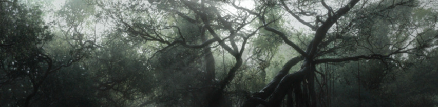 The Jungle Book Jungle